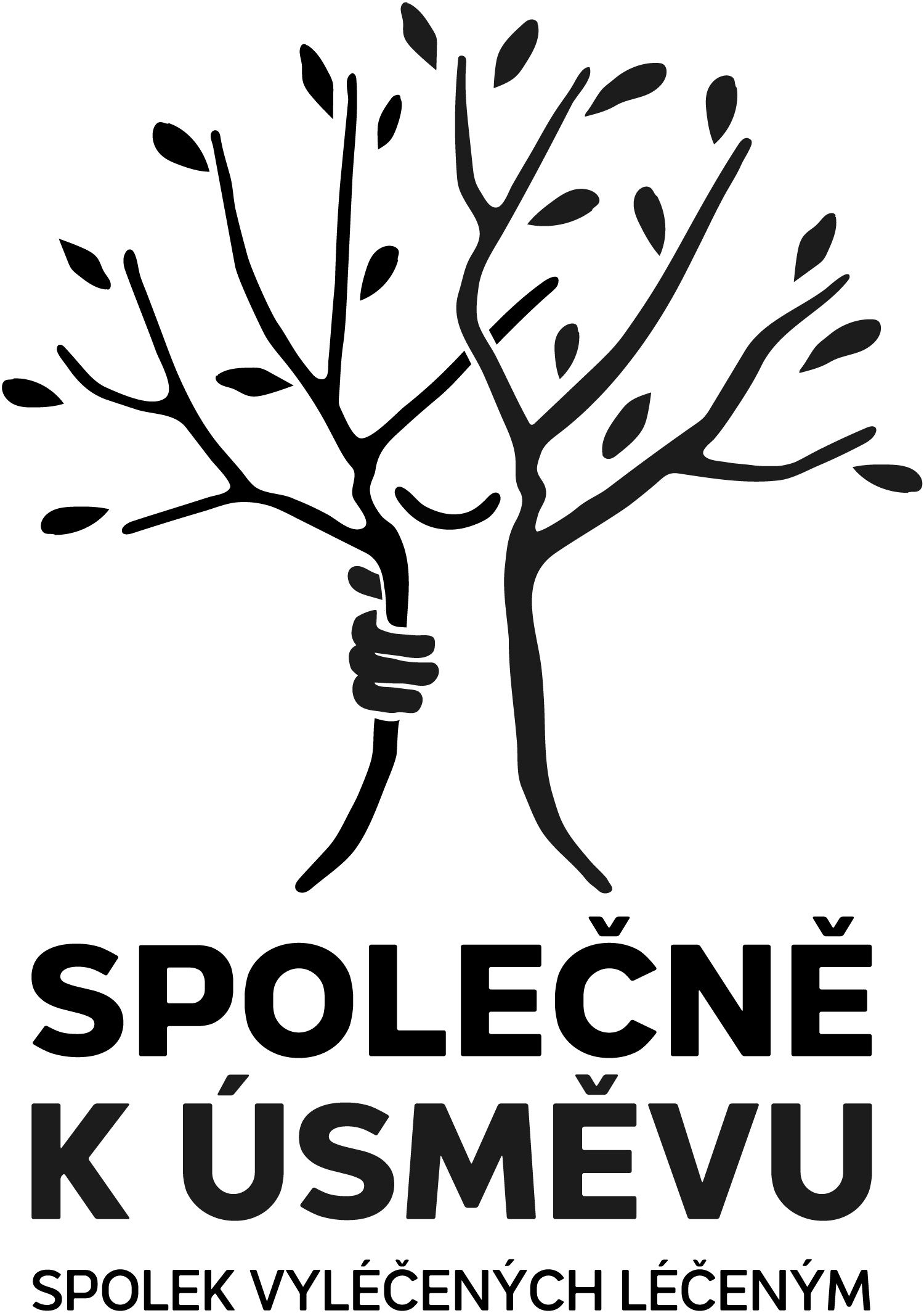 Společně k úsměvu